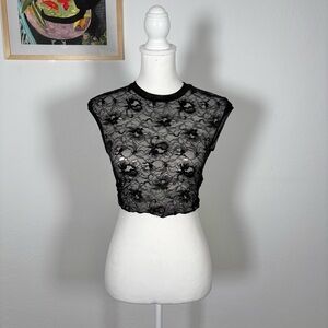Y2k Goth Lace Sheer Crop Top